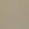 ガルバリウム鋼板　外壁カラー写真「メタリックシャンパン」