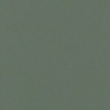 ガルバリウム鋼板　外壁カラー写真「ウグイス」