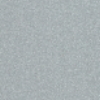 ガルバリウム鋼板　外壁カラー写真「シルバー」