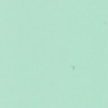 ガルバリウム鋼板　外壁カラー写真「オパールグリーン」